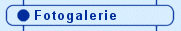 Fotogalerie