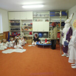 OLYMPUS DIGITAL CAMERA