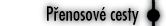 Penosov cesty